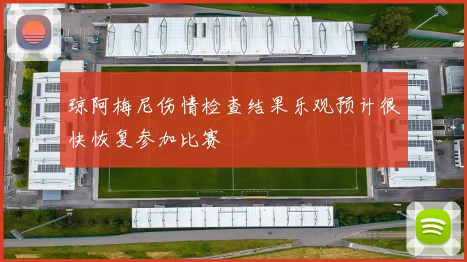 琼阿梅尼伤情检查结果乐观预计很快恢复参加比赛